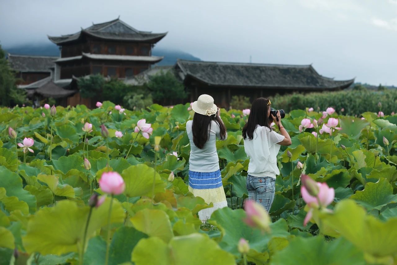 2020暑期?騰沖研學(xué)：打卡邊境小城，與自然對(duì)話！