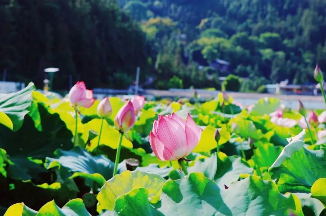 昆明年會場地預定:外企和國企的年會形式區(qū)別