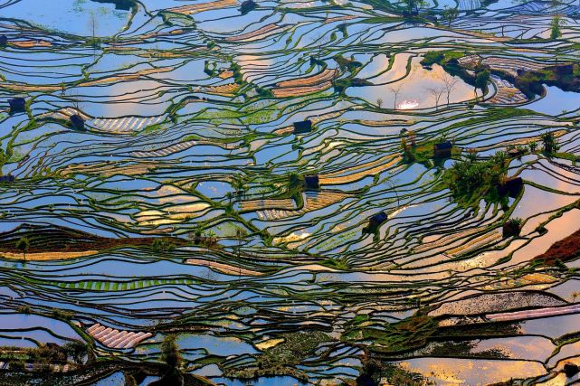 暑假想去云南旅游，有哪些旅游城市可以推薦