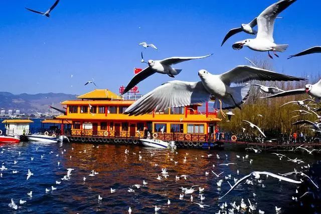 云南品質(zhì)游旅行社推薦，云南旅游選擇品質(zhì)旅游有什么優(yōu)點(diǎn)
