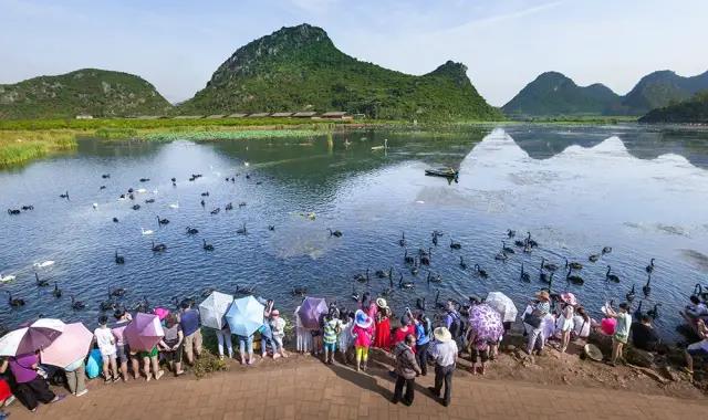 春節(jié)云南特輯 | 人少景美！春節(jié)云南旅游線路推薦十