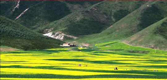 鄉(xiāng)村旅游的“五風”資源