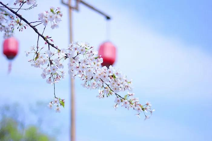 旅游景區(qū)如何良性循環(huán)應對市場變化？
