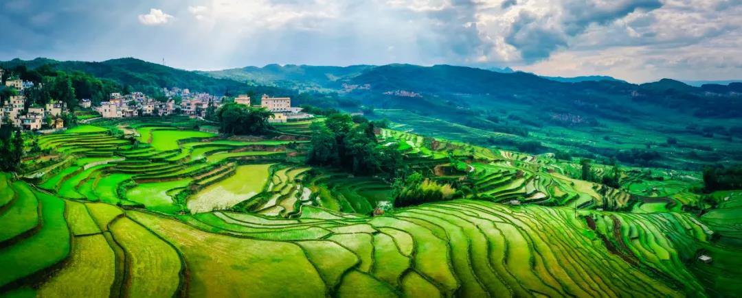 去到了紅河州元陽(yáng)縣哈尼梯田才知道，什么是人在畫(huà)中游！