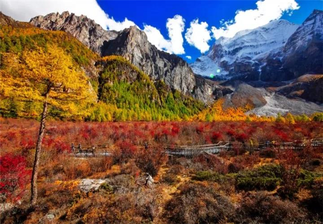 云南旅游攻略稻城亞丁的秋天， 美到炸裂了?。?！
