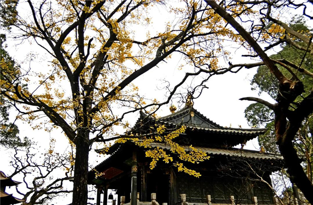 云南傳媒公司：在云南，聽(tīng)說(shuō)古鎮(zhèn)和秋天更配