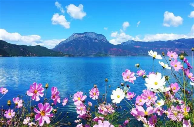 云南旅拍地推薦：七月的瀘沽湖，竟然可以美成這樣！