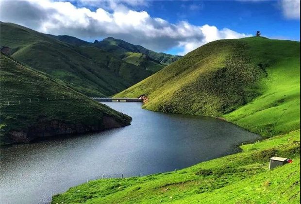 云南露營場地：夏天的大海草山，已經(jīng)美成了天堂！