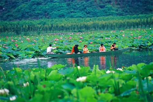 2022普者黑夏令營(yíng)：山水田園，萬畝荷花游學(xué)，探訪彝族古村，感知民族文化！