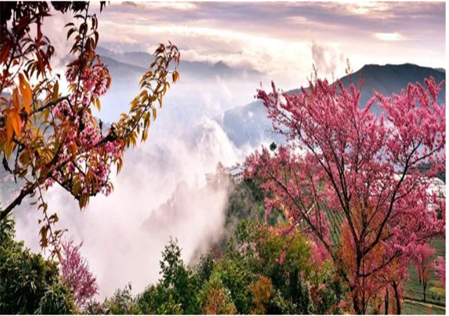 【聚焦旅交會(huì) 相約游大理】來(lái)南澗，在彝鄉(xiāng)體驗(yàn)自然之謎與民族之美