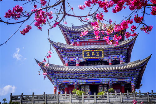 疫情過后，給自己來一場(chǎng)放縱的旅行...麗江的夏天愿你更美！