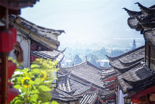 好想麗江！疫情過(guò)后到麗江，追逐色彩斑斕的春天。