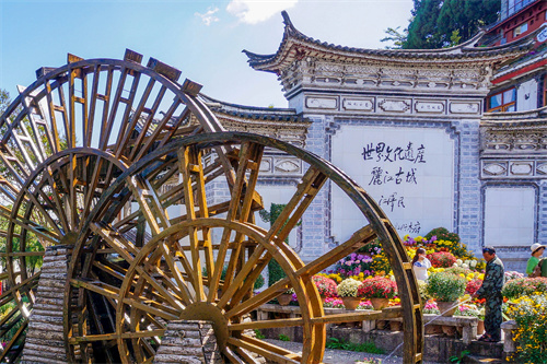 云南麗江老君山，實(shí)在太美了，遠(yuǎn)赴麗江驚鴻宴美哉！