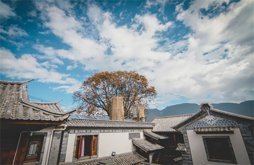 春節(jié)云南特輯 | 人少景美！春節(jié)云南旅游線路推薦三
