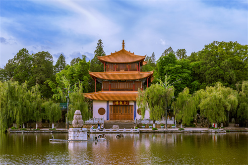 春暖四時(shí)，花開(kāi)昆明，感受春城初春之美！