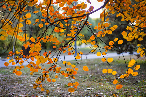 云南文創(chuàng)雪糕火出圈，“雪糕+景點(diǎn)”網(wǎng)紅式打卡驚靚一夏！