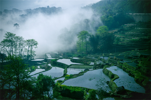 鄉(xiāng)村健康養(yǎng)生產(chǎn)業(yè)的客戶群體有哪些？它有什么開(kāi)發(fā)要點(diǎn)？