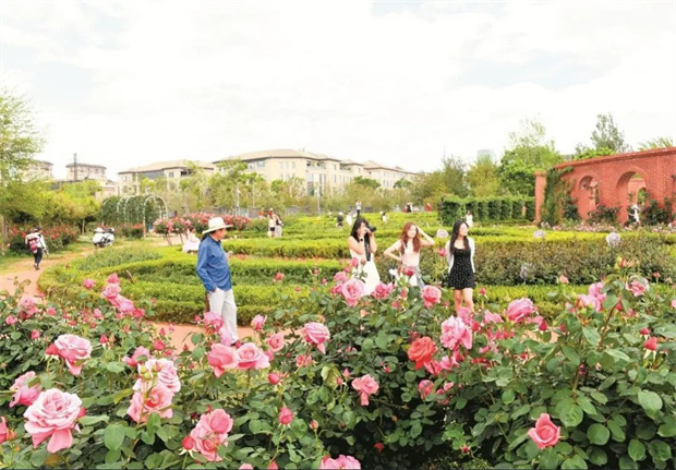 云南旅游,云南旅行社,云南團(tuán)建公司,云南策劃公司,云南會(huì)議公司,昆明旅游,昆明旅行社,昆明團(tuán)建公司,昆明策劃公司,昆明會(huì)議執(zhí)行：旅居昆明，在花海里通關(guān)四季！花歷正在更新，等你來簽收春天→